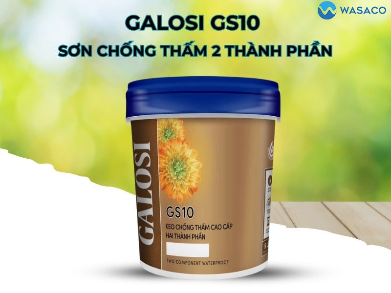 chống thấm nhà vệ sinh