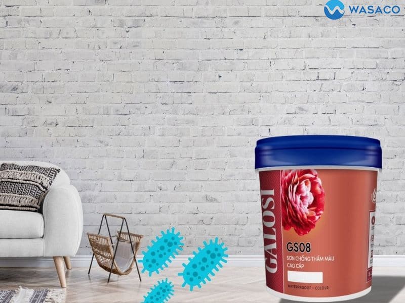 chống thấm nhà vệ sinh chung cư