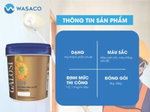 Chống thấm bể bơi