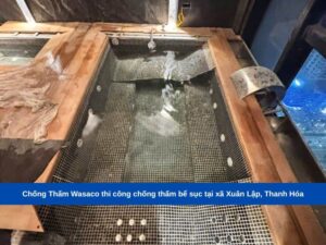 Chống Thấm Wasaco thi công chống thấm bể sục tại xã Xuân Lập, Thanh Hóa