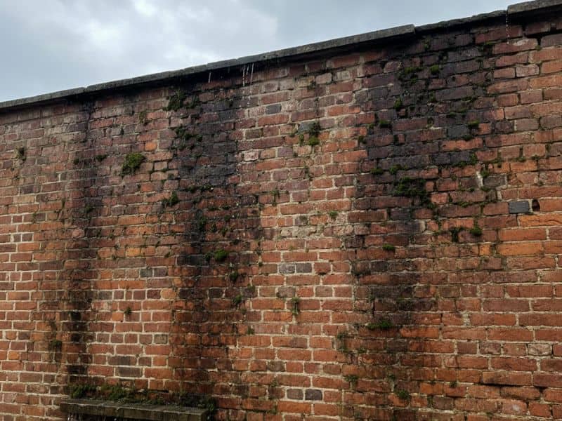 Chống thấm cho tường không trát ngoài