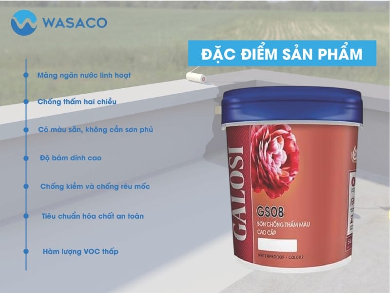 Dịch vụ chống thấm tại TP Hồ Chí Minh