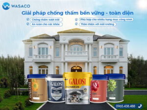 Sơn chống thấm bể bơi