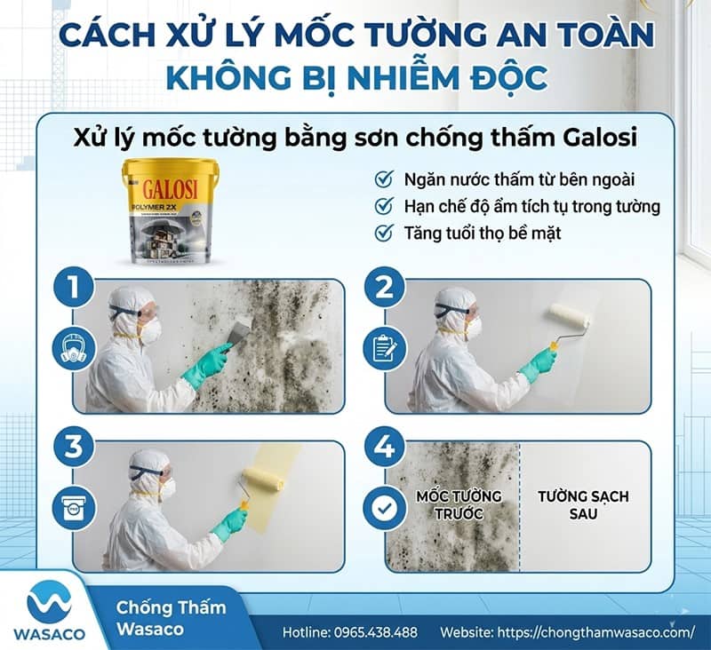 mốc tường có độc không