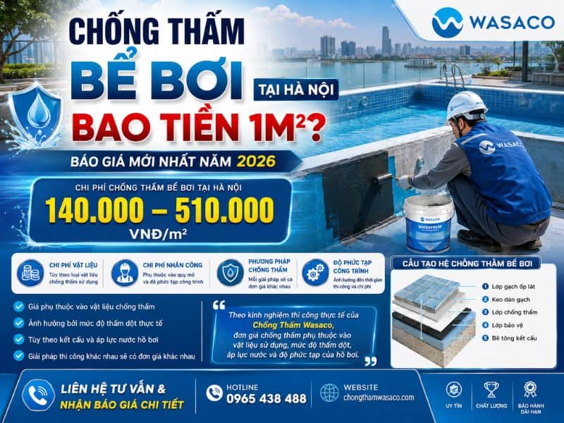 Chống thấm bể bơi tại Hà Nội bao tiền 1m2