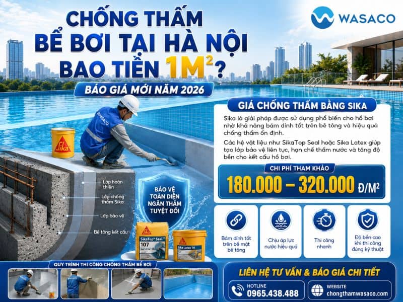 Chống thấm bể bơi tại Hà Nội bao tiền 1m2
