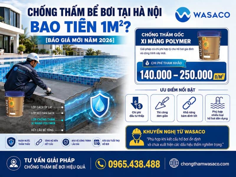 Chống thấm bể bơi tại Hà Nội bao tiền 1m2