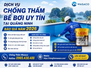 chống thấm bể bơi tại Quảng Ninh