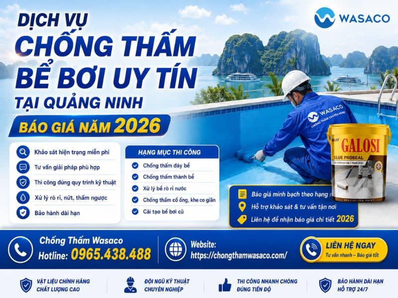 chống thấm bể bơi tại Quảng Ninh