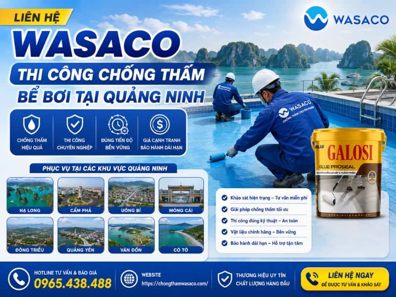 chống thấm bể bơi tại Quảng Ninh